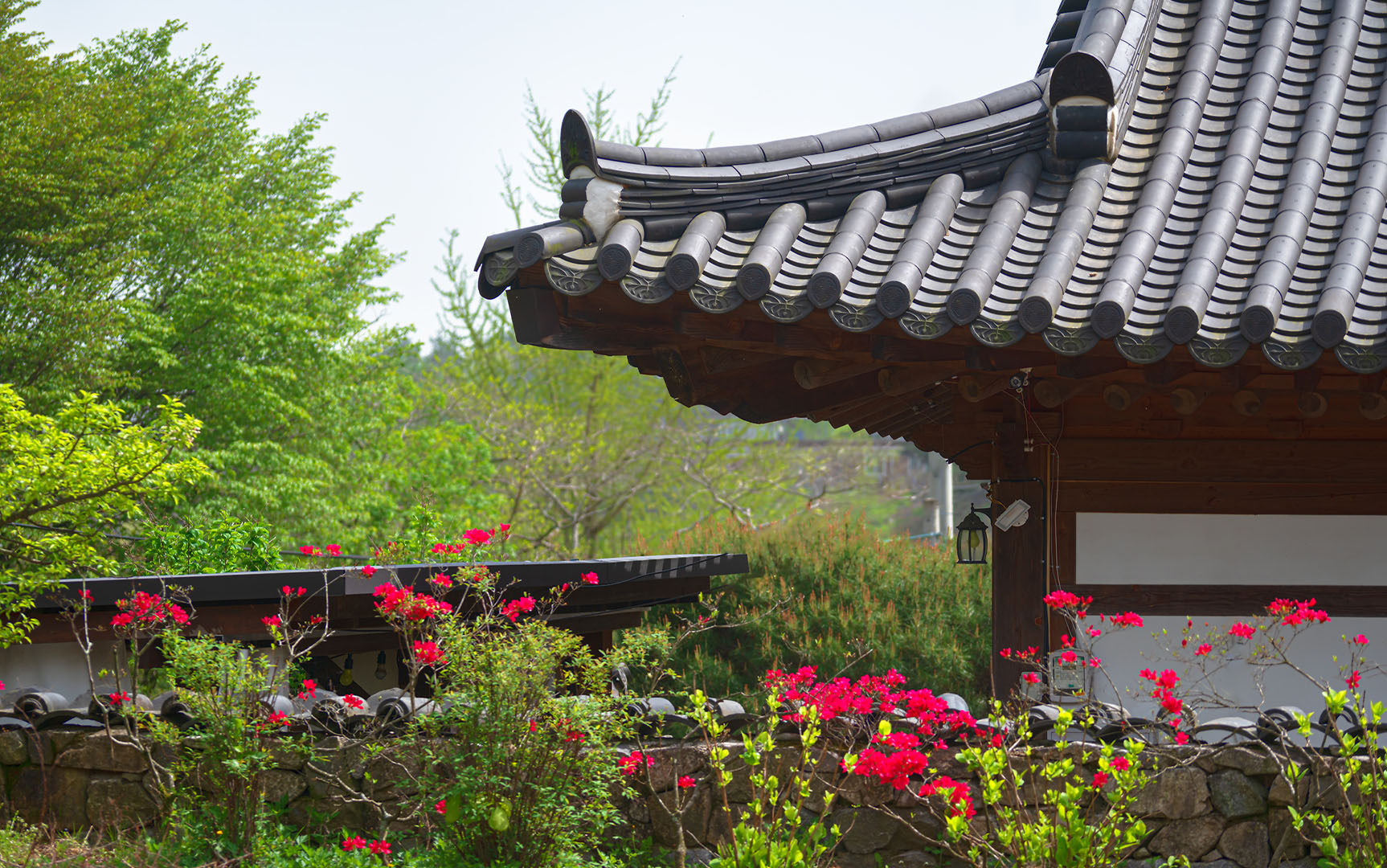 슬라이드 이미지14